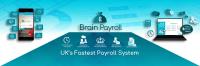 Brain Payroll Limited image 2